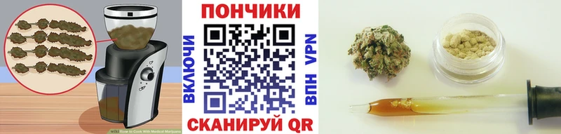 Еда ТГК конопля  наркота  Гай 