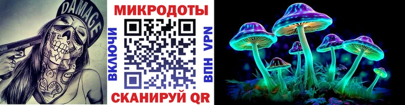 Галлюциногенные грибы Psilocybine cubensis Гай